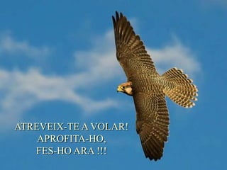 ATREVEIX-TE A VOLAR!
    APROFITA-HO,
   FES-HO ARA !!!
 