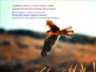 L'endemà mateix, va veure el falcó volant
àgilment davant de les finestres del seu palau.
El rei,sorprès, va dir a la seva cort:
Porteu-me l'autor d'aquest miracle !
La seva cort, acte seguit, li va presentar un pagès
 