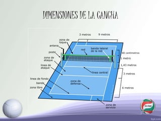DIMENSIONES DE LA CANCHA
 