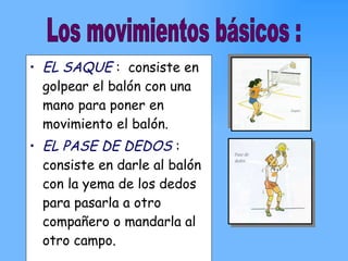 EL SAQUE  :  consiste en golpear el balón con una mano para poner en movimiento el balón. EL PASE DE DEDOS  : consiste en darle al balón con la yema de los dedos para pasarla a otro compañero o mandarla al otro campo. Los movimientos básicos : 