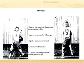 LEF RENE DÍAZ MONTEJO 
 