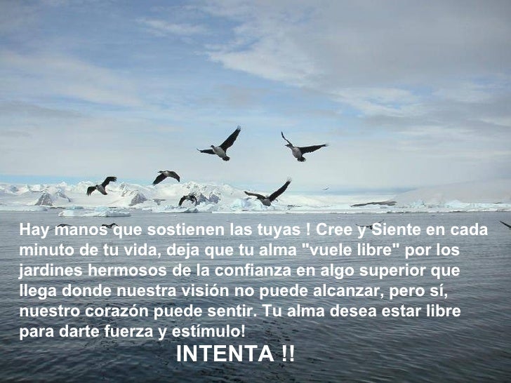 Resultado de imagen para vuelo del alma