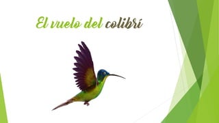 El vuelo del colibrí
 