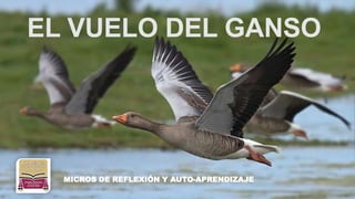 EL VUELO DEL GANSO
 MICROS DE REFLEXIÓN Y AUTO-APRENDIZAJE
 
