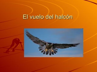 El vuelo del halcón 