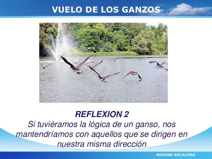 El vuelo de los gansos
