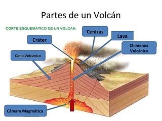 Partes de un Volcán
Cono Volcánico
Cono Volcánico
Cráter
Cenizas
Lava
Cámara Magmática
Chimenea
Volcánica
 
