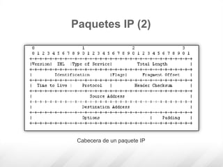 Cabecera de un paquete IP
Paquetes IP (2)
 