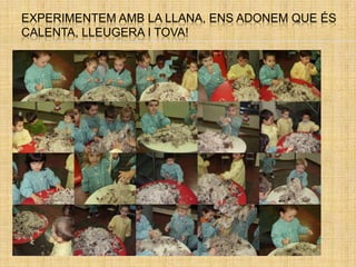 EXPERIMENTEM AMB LA LLANA, ENS ADONEM QUE ÉS
CALENTA, LLEUGERA I TOVA!
 