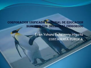 Elien Yohana Echeverry Higuita
         Contaduría publica
 