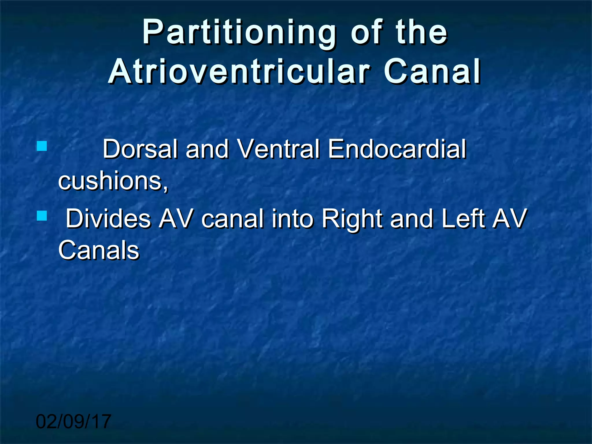 02/09/17
Partitioning of thePartitioning of the
Atrioventricular CanalAtrioventricular Canal
 Dorsal and Ventral EndocardialDorsal and Ventral Endocardial
cushions,cushions,
 Divides AV canal into Right and Left AVDivides AV canal into Right and Left AV
CanalsCanals
 