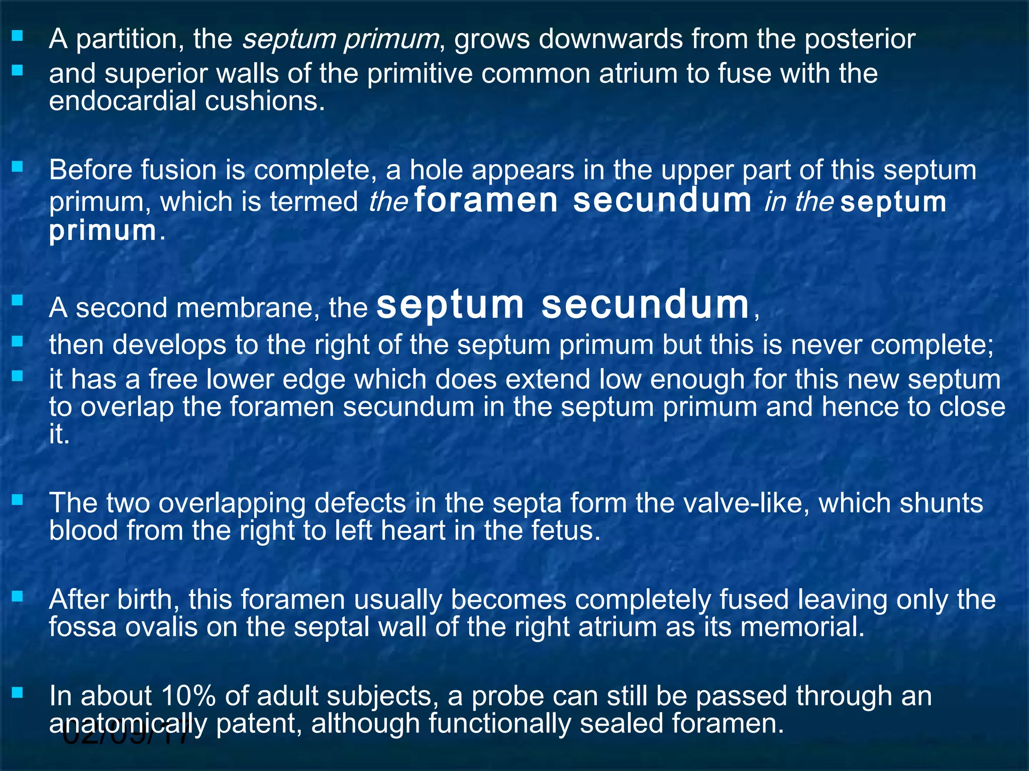 02/09/17
 A partition, the septum primum, grows downwards from the posterior
 and superior walls of the primitive common atrium to fuse with the
endocardial cushions.
 Before fusion is complete, a hole appears in the upper part of this septum
primum, which is termed the foramen secundum in the septum
primum.

A second membrane, the septum secundum,
 then develops to the right of the septum primum but this is never complete;
 it has a free lower edge which does extend low enough for this new septum
to overlap the foramen secundum in the septum primum and hence to close
it.
 The two overlapping defects in the septa form the valve-like, which shunts
blood from the right to left heart in the fetus.
 After birth, this foramen usually becomes completely fused leaving only the
fossa ovalis on the septal wall of the right atrium as its memorial.
 In about 10% of adult subjects, a probe can still be passed through an
anatomically patent, although functionally sealed foramen.
 
