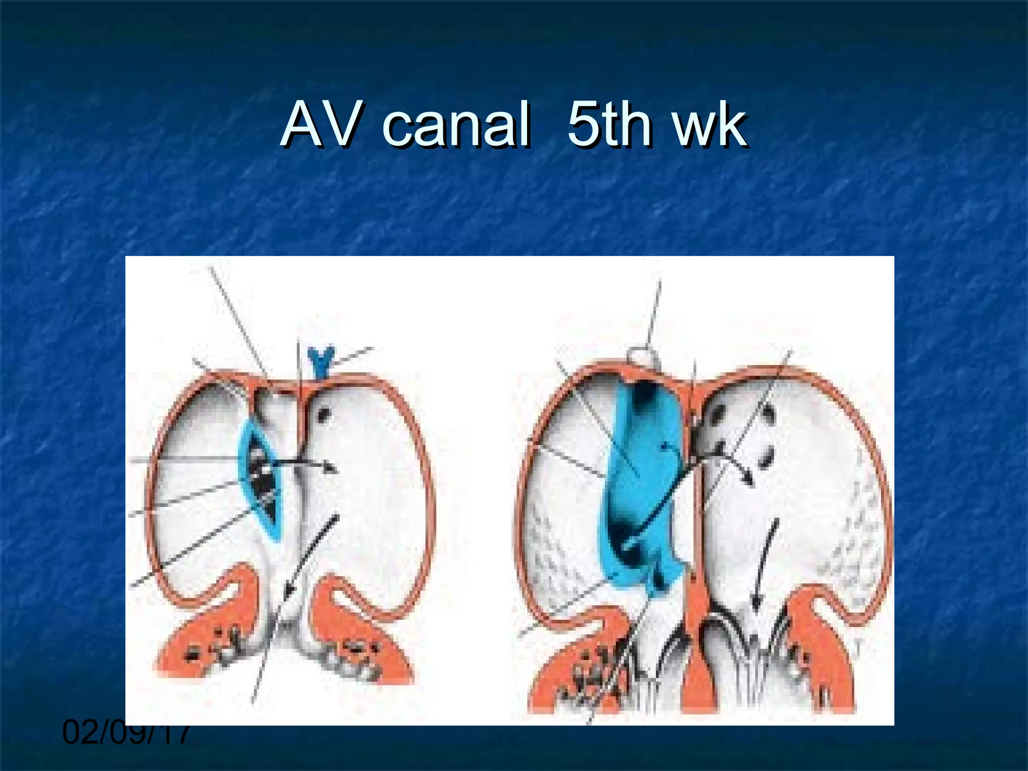 02/09/17
AV canal 5th wkAV canal 5th wk
 