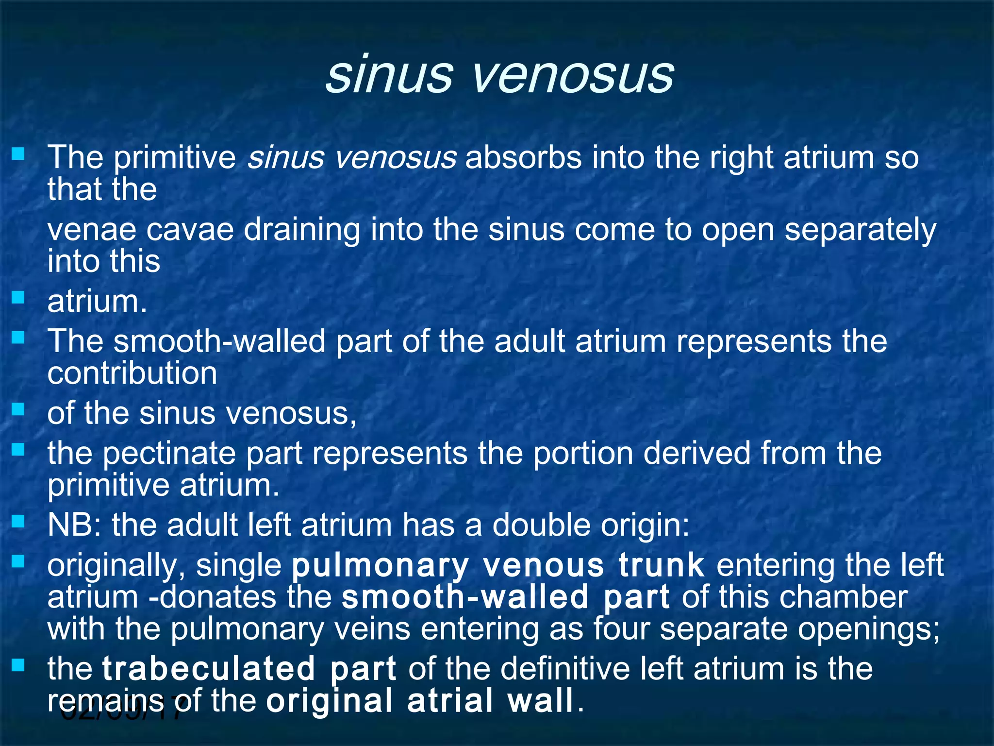 02/09/17
sinus venosus
 The primitive sinus venosus absorbs into the right atrium so
that the
venae cavae draining into the sinus come to open separately
into this
 atrium.
 The smooth-walled part of the adult atrium represents the
contribution
 of the sinus venosus,
 the pectinate part represents the portion derived from the
primitive atrium.
 NB: the adult left atrium has a double origin:
 originally, single pulmonary venous trunk entering the left
atrium -donates the smooth-walled part of this chamber
with the pulmonary veins entering as four separate openings;
 the trabeculated part of the definitive left atrium is the
remains of the original atrial wall.
 