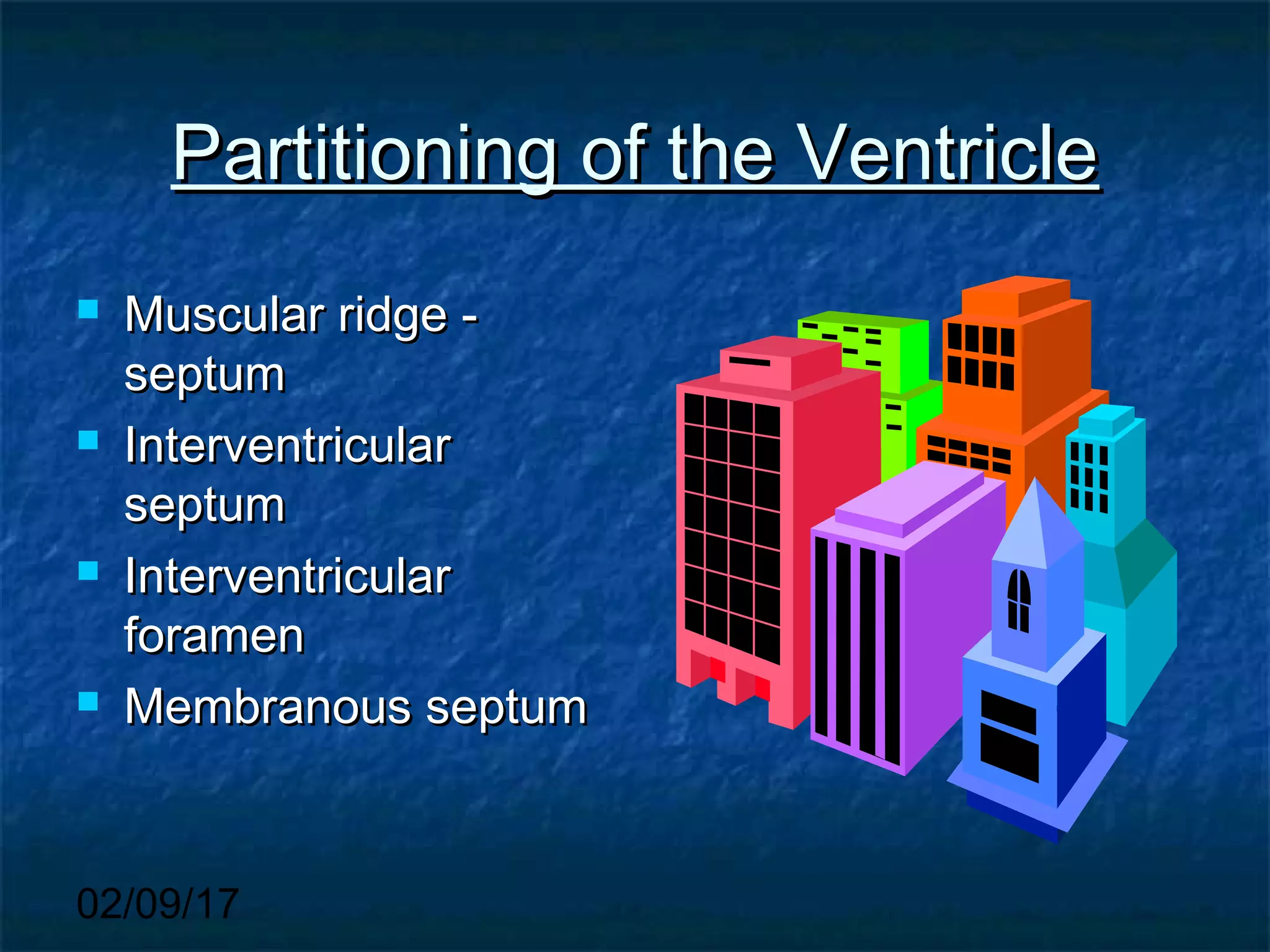 02/09/17
Partitioning of the VentriclePartitioning of the Ventricle
 Muscular ridge -Muscular ridge -
septumseptum
 InterventricularInterventricular
septumseptum
 InterventricularInterventricular
foramenforamen
 Membranous septumMembranous septum
 