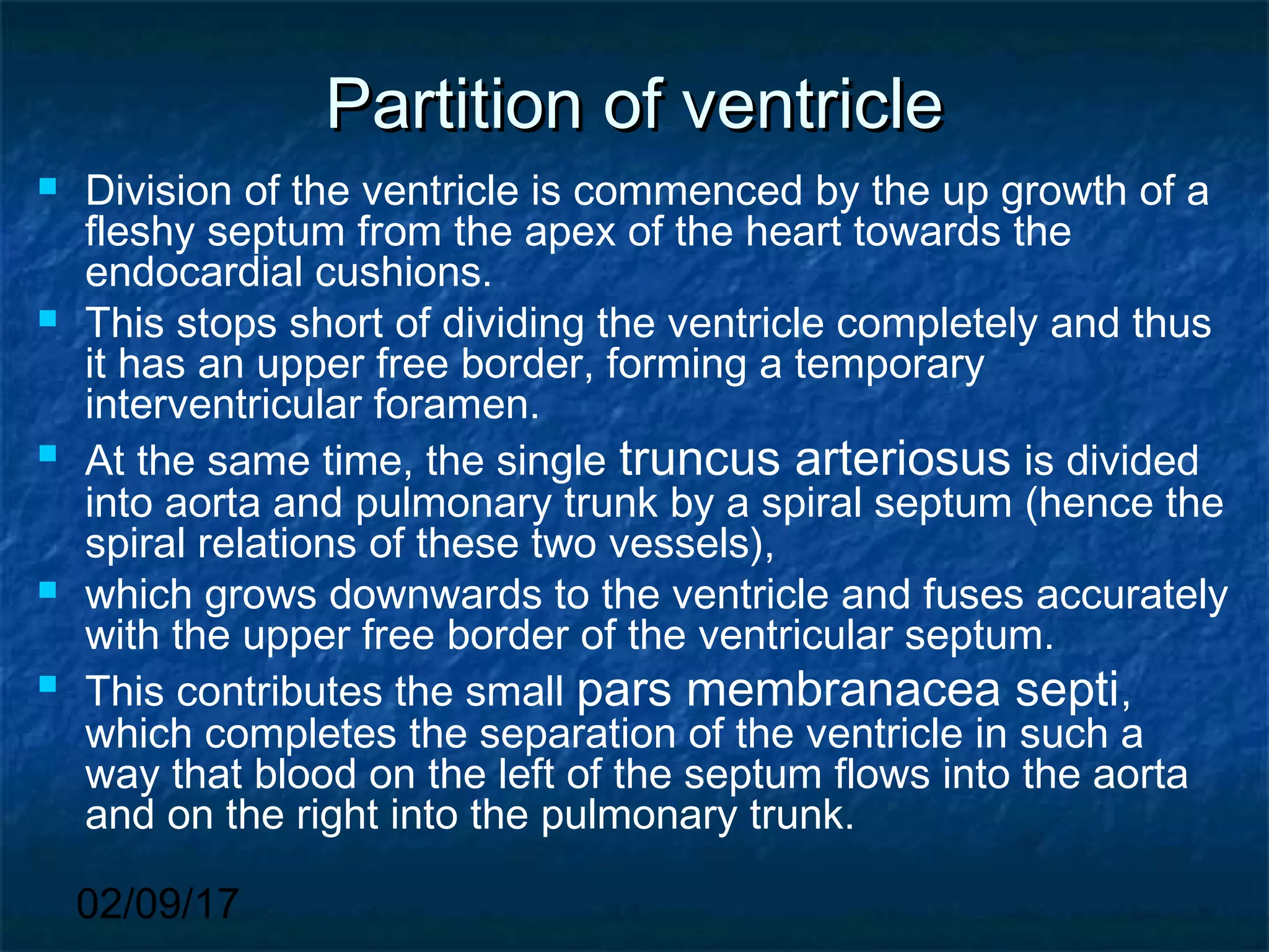 02/09/17
Partition of ventriclePartition of ventricle
 Division of the ventricle is commenced by the up growth of a
fleshy septum from the apex of the heart towards the
endocardial cushions.
 This stops short of dividing the ventricle completely and thus
it has an upper free border, forming a temporary
interventricular foramen.
 At the same time, the single truncus arteriosus is divided
into aorta and pulmonary trunk by a spiral septum (hence the
spiral relations of these two vessels),
 which grows downwards to the ventricle and fuses accurately
with the upper free border of the ventricular septum.
 This contributes the small pars membranacea septi,
which completes the separation of the ventricle in such a
way that blood on the left of the septum flows into the aorta
and on the right into the pulmonary trunk.
 