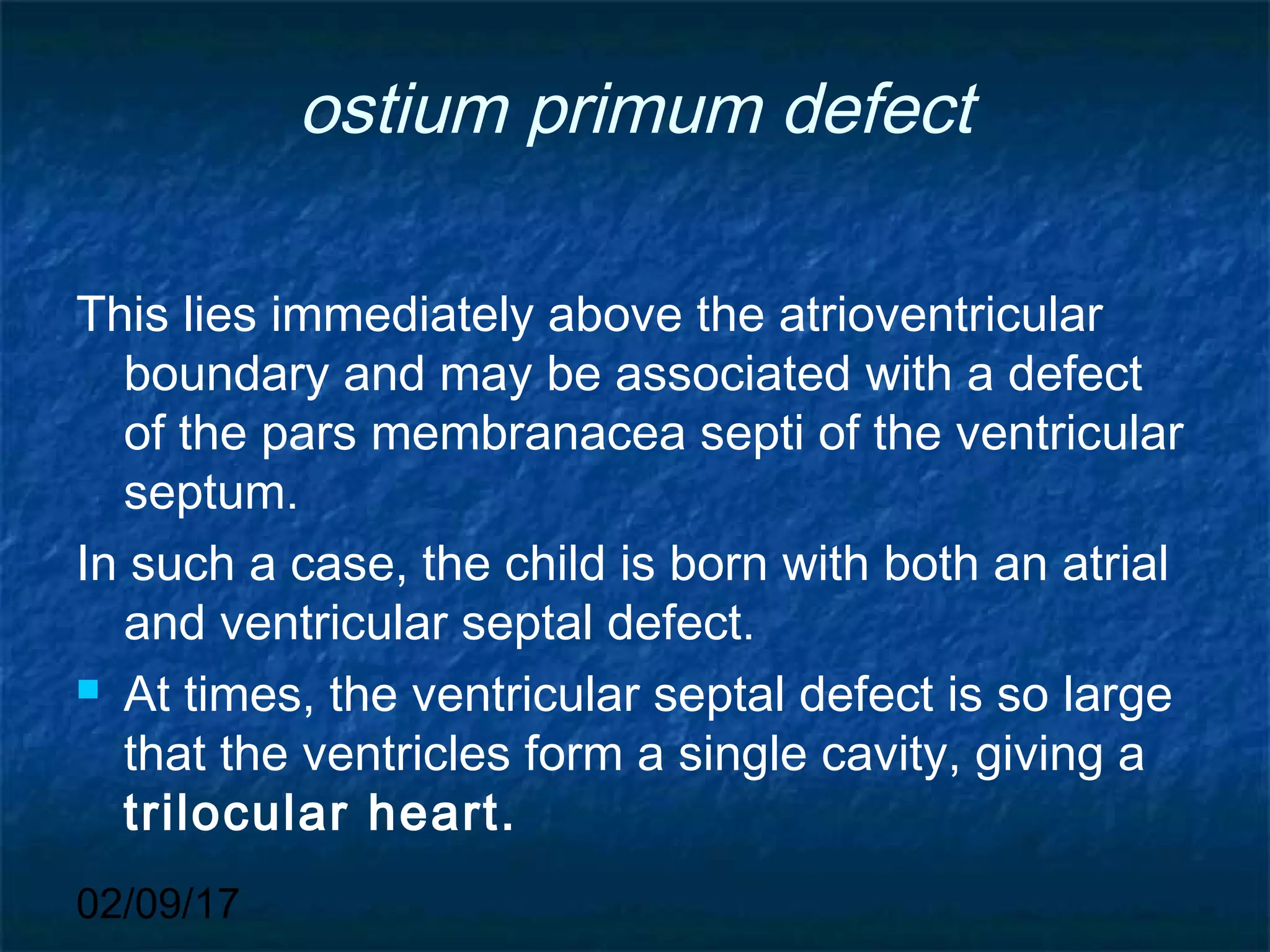 02/09/17
ostium primum defect
This lies immediately above the atrioventricular
boundary and may be associated with a defect
of the pars membranacea septi of the ventricular
septum.
In such a case, the child is born with both an atrial
and ventricular septal defect.
 At times, the ventricular septal defect is so large
that the ventricles form a single cavity, giving a
trilocular heart.
 