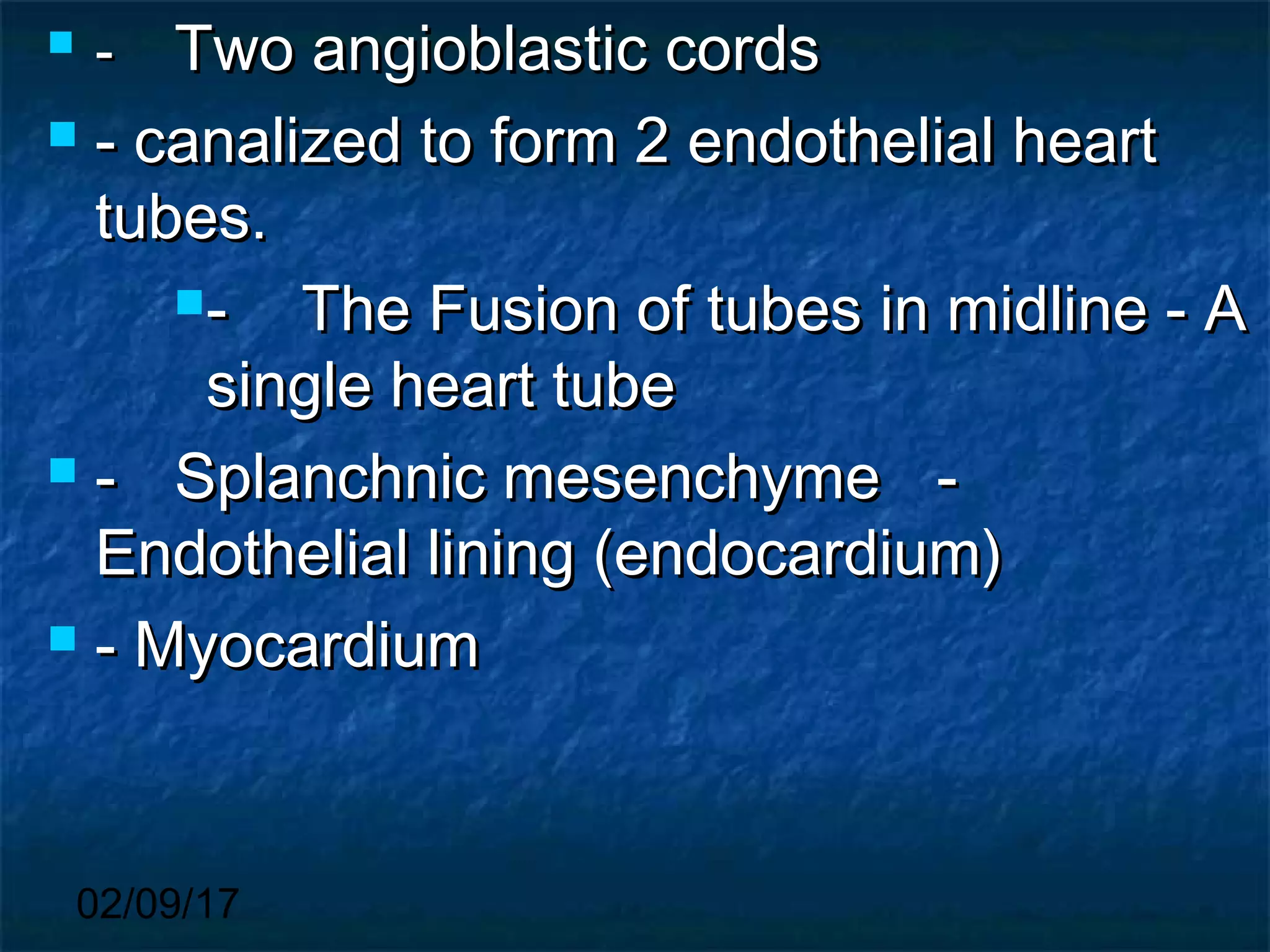 02/09/17
 -- Two angioblastic cordsTwo angioblastic cords
 - canalized to form 2 endothelial heart- canalized to form 2 endothelial heart
tubes.tubes.
-- The Fusion of tubes in midline - AThe Fusion of tubes in midline - A
single heart tubesingle heart tube
 -- Splanchnic mesenchymeSplanchnic mesenchyme --
Endothelial lining (endocardium)Endothelial lining (endocardium)
 - Myocardium- Myocardium
 