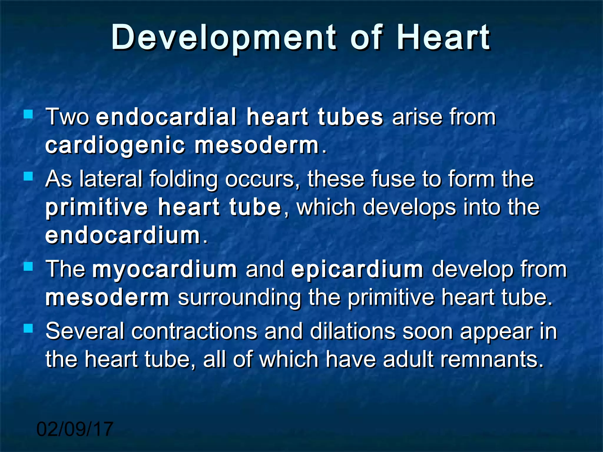 02/09/17
Development of HeartDevelopment of Heart
 TwoTwo endocardial heart tubesendocardial heart tubes arise fromarise from
cardiogenic mesodermcardiogenic mesoderm ..
 As lateral folding occurs, these fuse to form theAs lateral folding occurs, these fuse to form the
primitive heart tubeprimitive heart tube , which develops into the, which develops into the
endocardiumendocardium..
 TheThe myocardiummyocardium andand epicardiumepicardium develop fromdevelop from
mesodermmesoderm surrounding the primitive heart tube.surrounding the primitive heart tube.
 Several contractions and dilations soon appear inSeveral contractions and dilations soon appear in
the heart tube, all of which have adult remnants.the heart tube, all of which have adult remnants.
 