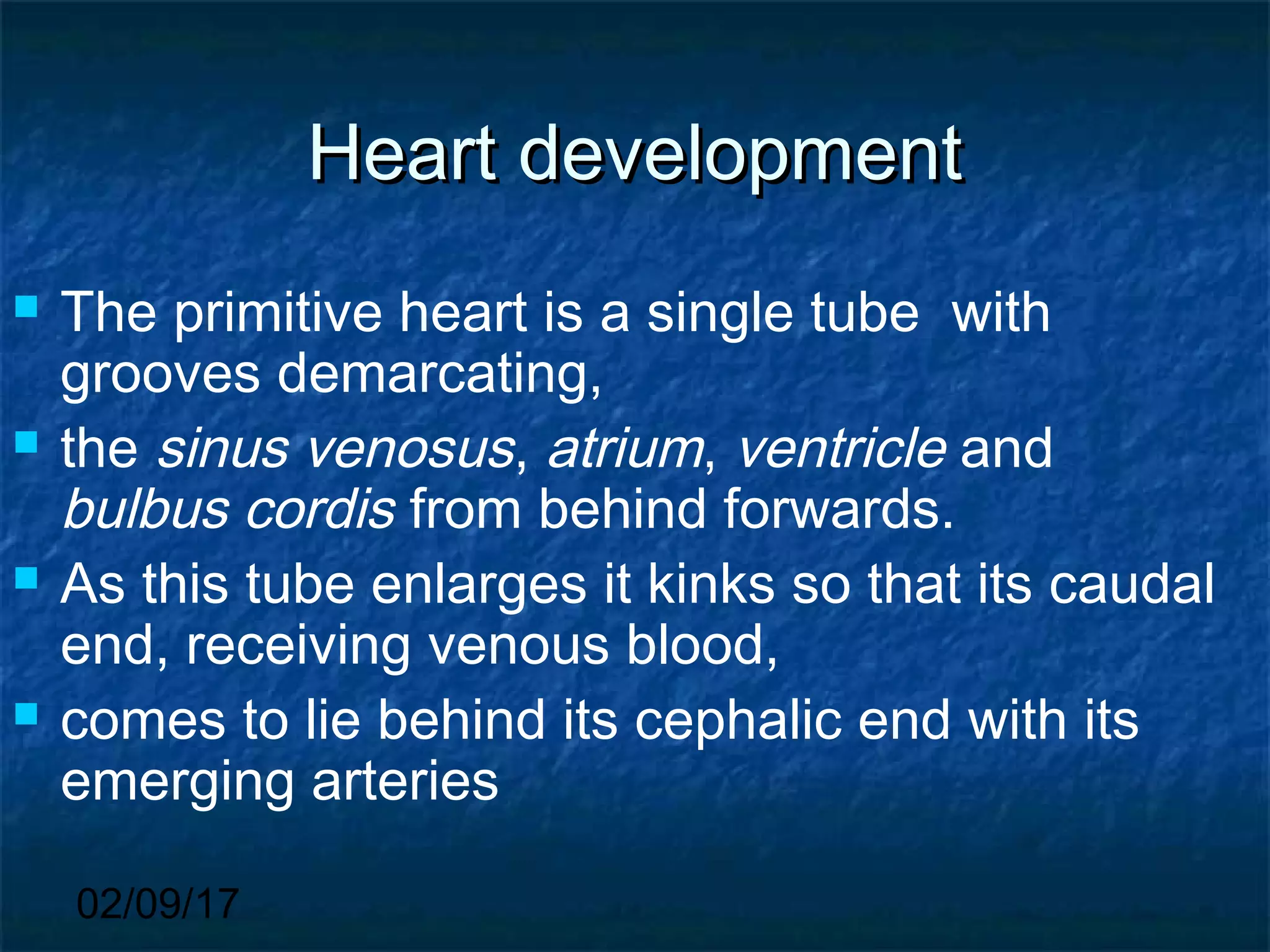 02/09/17
Heart developmentHeart development
 The primitive heart is a single tube with
grooves demarcating,
 the sinus venosus, atrium, ventricle and
bulbus cordis from behind forwards.
 As this tube enlarges it kinks so that its caudal
end, receiving venous blood,
 comes to lie behind its cephalic end with its
emerging arteries
 