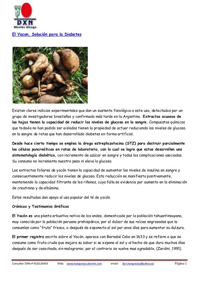 El Yacon Solución para la Diabetes El Yacon Solución para la Diabetes
