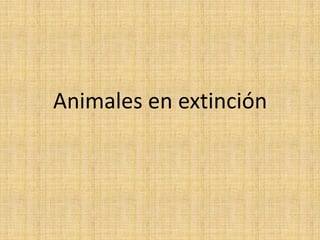 Animales en extinción
 