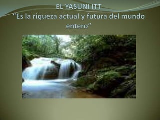 EL YASUNI ITT“Es la riqueza actual y futura del mundo entero” 