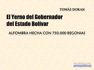 El Yerno del Gobernador
del Estado Bolívar
 