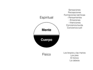 Mente
Cuerpo
Físico
Espiritual
Los brazos y las manos
Los pies
El tronco
La cabeza
Sensaciones
Percepciones
Formaciones kármicas
- Pensamientos
- Emociones
- Intenciones
Conciencia burda
Conciencia sutil
 