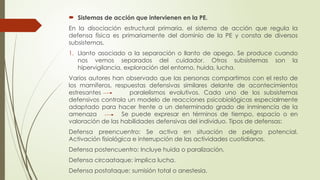  Sistemas de acción que intervienen en la PE.
En la disociación estructural primaria, el sistema de acción que regula la
defensa física es primariamente del dominio de la PE y consta de diversos
subsistemas.
1. Llanto asociado a la separación o llanto de apego. Se produce cuando
nos vemos separados del cuidador. Otros subsistemas son la
hipervigilancia, exploración del entorno, huida, lucha.
Varios autores han observado que las personas compartimos con el resto de
los mamíferos, respuestas defensivas similares delante de acontecimientos
estresantes paralelismos evolutivos. Cada uno de los subsistemas
defensivos controla un modelo de reacciones psicobiológicas especialmente
adaptado para hacer frente a un determinado grado de inminencia de la
amenaza Se puede expresar en términos de tiempo, espacio o en
valoración de las habilidades defensivas del individuo. Tipos de defensas:
Defensa preencuentro: Se activa en situación de peligro potencial.
Activación fisiológica e interrupción de las actividades cuotidianas.
Defensa postencuentro: Incluye huida o paralización.
Defensa circaataque: implica lucha.
Defensa postataque: sumisión total o anestesía.
 