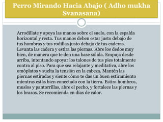 Perro Mirando Hacia Abajo ( Adho mukha
Svanasana)
Arrodíllate y apoya las manos sobre el suelo, con la espalda
horizontal y recta. Tus manos deben estar justo debajo de
tus hombros y tus rodillas justo debajo de tus caderas.
Levanta las cadera y estira las piernas. Abre los dedos muy
bien, de manera que te den una base sólida. Empuja desde
arriba, intentando apoyar los talones de tus pies totalmente
contra al piso. Para que sea relajante y meditativa, abre los
omóplatos y suelta la tensión en la cabeza. Mantén las
piernas estiradas y siente cómo te das un buen estiramiento
mientras estás bien conectado con la tierra. Estira hombros,
muslos y pantorrillas, abre el pecho, y fortalece las piernas y
los brazos. Se recomienda en días de calor.
 