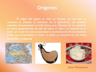 OrígenesEl origen del yogurt se sitúa en Turquía. Se cree que su consumo es anterior al comienzo de la agricultura. Los pueblos nómadas transportaban la leche fresca que obtenían de los animales en bolsas generalmente de piel de cabra. El calor y el contacto de la leche con la piel de cabra propiciaban la multiplicación de las bacterias ácidas que fermentaban la leche. La leche se convertía en una masa semisólida y coagulada.César D’Aubeterre
