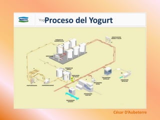 Proceso del YogurtIncubación: Se inocula con un starter de los dos microorganismos, el Streptococcustermophilus y el Lactobacillusbulgaricus, pero que han sido cultivados por separado para evitar un exceso de producción de ácido láctico. De este modo, no se ve favorecida una especie frente a la otra dentro del mismo starter.En la elaboración de yogurt es preferible usar un corto tiempo de procesamiento, y para eso se regula la temperatura y la cantidad de inóculo. Normalmente se usan temperaturas de incubación entre 42 y 45 ºC, de 2 a 3% de cultivo y un tiempo de incubación de 2:30 a 3 horas.Fermentación y Envasado: El yogurt firme se envasa inmediatamente a la adición del starter en vasitos o tarritos y son llevados de esta forma a una estufa donde se produce la fermentación hasta el punto deseado y luego se refrigera en cámaras o en túneles de refrigeración.En cambio, en el yogurt batido y en el líquido la fermentación se produce directamente en el reactor, se homogeneíza, se enfría en un intercambiador entre 22 y 24 ºC (15 ºC en el caso del líquido), temperaturas indicadas para retardar el desarrollo de las bacterias, se termina por envasar en recipientes que son inmediatamente refrigerados.César D’Aubeterre