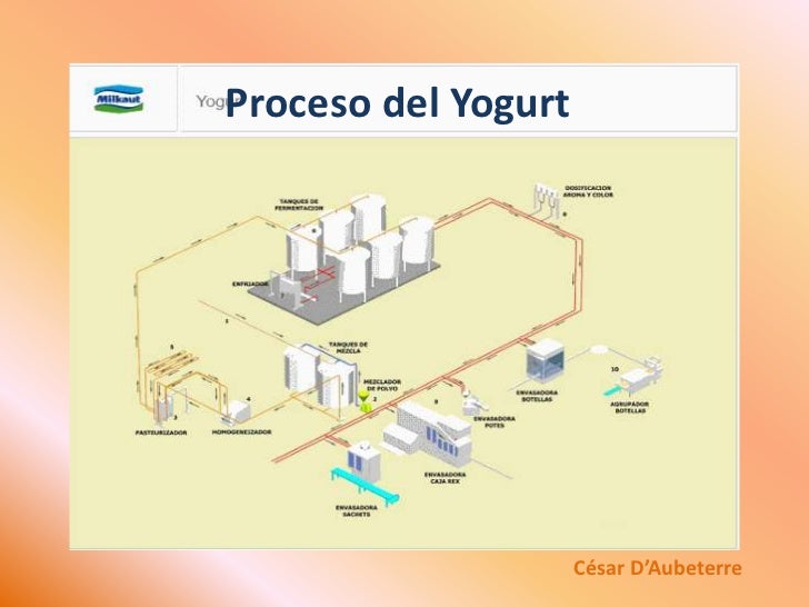 El yogurt