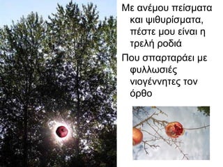 Με ανέμου πείσματα
και ψιθυρίσματα,
πέστε μου είναι η
τρελή ροδιά
Που σπαρταράει με
φυλλωσιές
νιογέννητες τον
όρθο
 