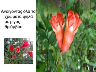 Ανοίγοντας όλα τα
χρώματα ψηλά
με ρίγος
θριάμβου;
 