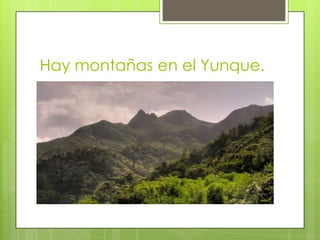 Hay montañas en el Yunque.
 
