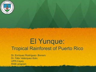 El Yunque:
Tropical Rainforest of Puerto Rico
Dr. Enríquez Rodríguez- Borrero
Dr. Félix Velázquez-Soto,
UPR-Cayey
RISE program
 