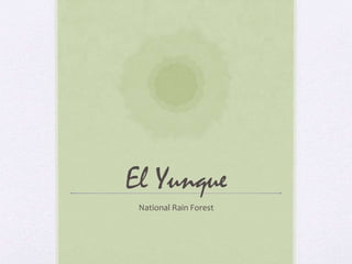 El Yunque
National Rain Forest
 