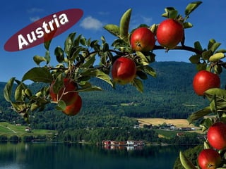 Elza.austria