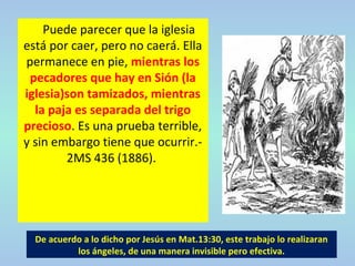 Puede parecer que la iglesia
está por caer, pero no caerá. Ella
permanece en pie, mientras los
pecadores que hay en Sión (la
iglesia)son tamizados, mientras
la paja es separada del trigo
precioso. Es una prueba terrible,
y sin embargo tiene que ocurrir.-
2MS 436 (1886).
De acuerdo a lo dicho por Jesús en Mat.13:30, este trabajo lo realizaran
los ángeles, de una manera invisible pero efectiva.
 