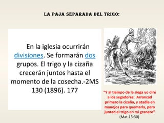 la paja Separada del trigo:
En la iglesia ocurrirán
divisiones. Se formarán dos
grupos. El trigo y la cizaña
crecerán juntos hasta el
momento de la cosecha.-2MS
130 (1896). 177 ”Y al tiempo de la siega yo diré
a los segadores: Arrancad
primero la cizaña, y atadla en
manojos para quemarla, pero
juntad el trigo en mi granero”
(Mat.13:30)
 