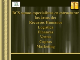 BCS somos especialistas en estructurar
            las áreas de:
        Recursos Humanos
              Logística
              Finanzas
               Ventas
               Copras
             Marketing
 