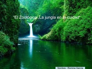 “El Zoológico ,La jungla en la cuidad”




                         Nombre : Romina García
 