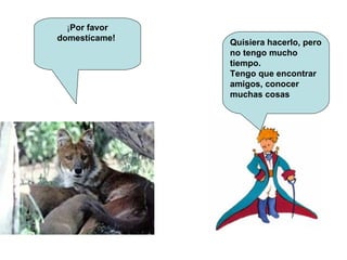 ¡ Por favor domestícame!  Quisiera hacerlo, pero no tengo mucho tiempo.  Tengo que encontrar amigos, conocer muchas cosas 
