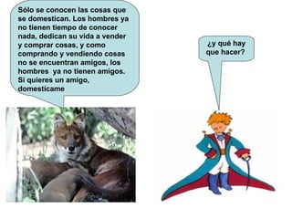 Sólo se conocen las cosas que se domestican. Los hombres ya no tienen tiempo de conocer nada, dedican su vida a vender y comprar cosas, y como comprando y vendiendo cosas no se encuentran amigos, los hombres  ya no tienen amigos. Si quieres un amigo, domestícame  ¿y qué hay que hacer?  