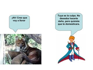 ¡Ah! Creo que voy a llorar   Tuya es la culpa. No deseaba hacerte daño, pero quisiste que te domesticara. 