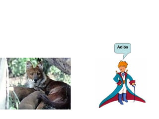 Adiós  