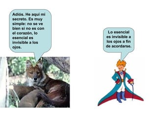 Adiós. He aquí mi secreto. Es muy simple: no se ve bien si no es con el corazón, lo esencial es invisible a los ojos. Lo esencial es invisible a los ojos a fin de acordarse. 