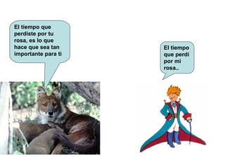 El tiempo que perdiste por tu rosa, es lo que hace que sea tan importante para ti  El tiempo que perdí por mi rosa.. 